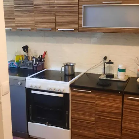 Grbavica Apartment